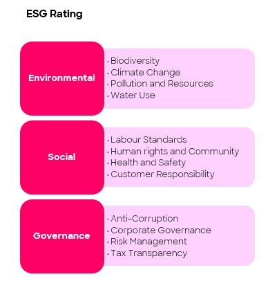 ESG Rating